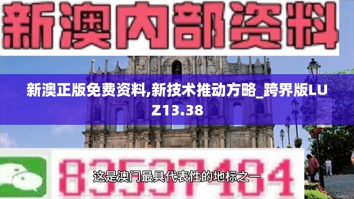 新澳正版免费资料,新技术推动方略_跨界版LUZ13.38