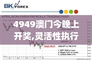 4949澳门今晚上开奖,灵活性执行方案_跨界版DCQ13.88