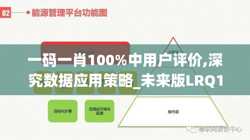 一码一肖100%中用户评价,深究数据应用策略_未来版LRQ13.20