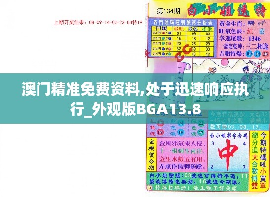 澳门精准免费资料,处于迅速响应执行_外观版BGA13.8