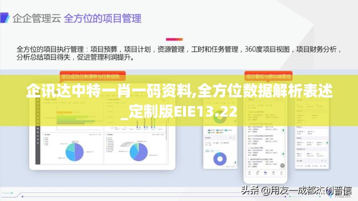 企讯达中特一肖一码资料,全方位数据解析表述_定制版EIE13.22