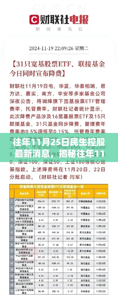 揭秘往年11月25日民生控股最新消息，初学者与进阶用户指南全解析