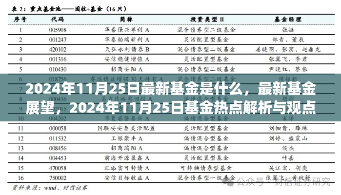 揭秘最新基金热点，2024年11月25日基金展望与热点解析