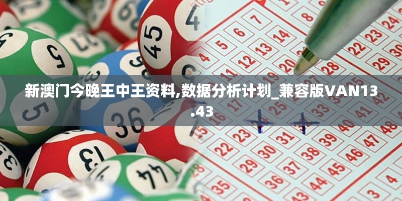 新澳门今晚王中王资料,数据分析计划_兼容版VAN13.43