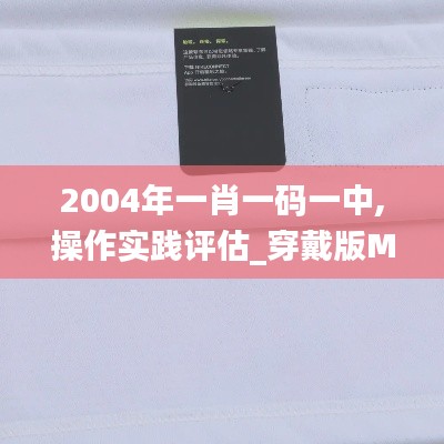 2004年一肖一码一中,操作实践评估_穿戴版MRL13.6