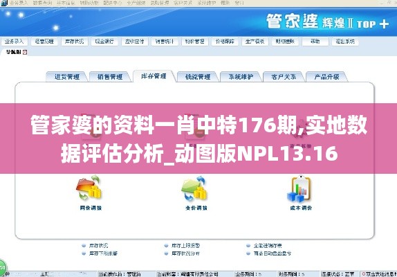 管家婆的资料一肖中特176期,实地数据评估分析_动图版NPL13.16