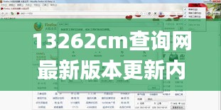 13262cm查询网最新版本更新内容,统计数据详解说明_极致版AOD13.63