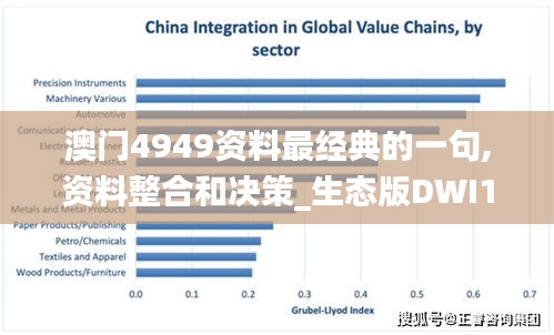 澳门4949资料最经典的一句,资料整合和决策_生态版DWI13.2