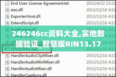 246246cc资料大全,实地数据验证_智慧版RIN13.17