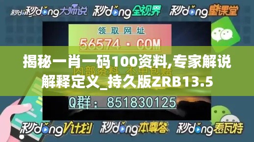 揭秘一肖一码100资料,专家解说解释定义_持久版ZRB13.5