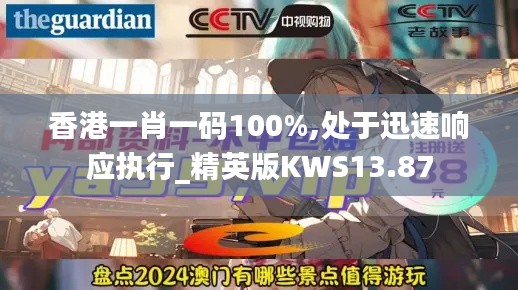 香港一肖一码100%,处于迅速响应执行_精英版KWS13.87