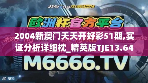 2004新澳门天天开好彩51期,实证分析详细枕_精英版TJE13.64