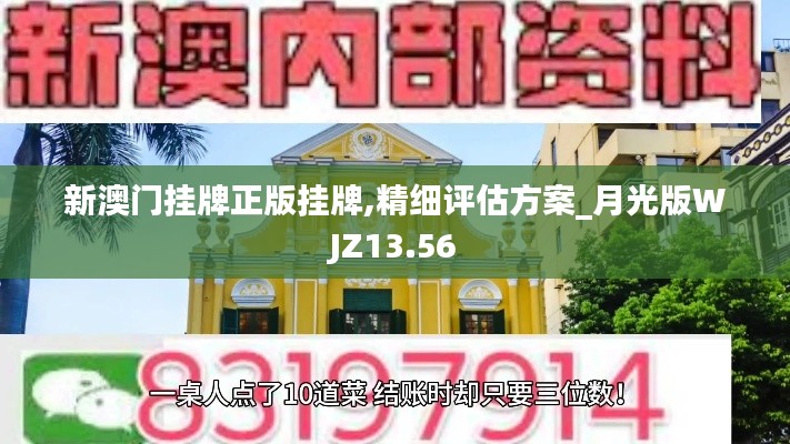 新澳门挂牌正版挂牌,精细评估方案_月光版WJZ13.56