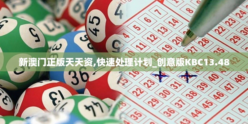 新澳门正版天天资,快速处理计划_创意版KBC13.48