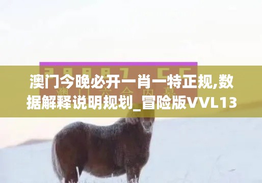 澳门今晚必开一肖一特正规,数据解释说明规划_冒险版VVL13.47