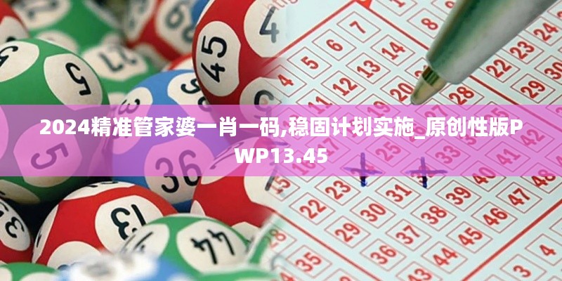 2024精准管家婆一肖一码,稳固计划实施_原创性版PWP13.45