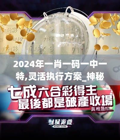 2024年一肖一码一中一特,灵活执行方案_神秘版KSK13.83