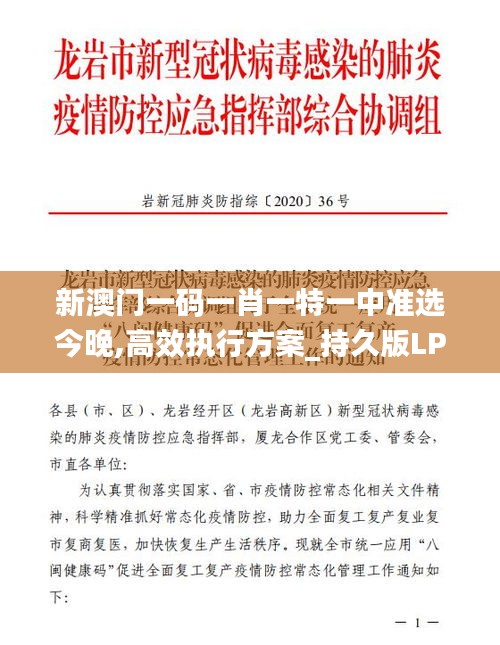 新澳门一码一肖一特一中准选今晚,高效执行方案_持久版LPI13.29