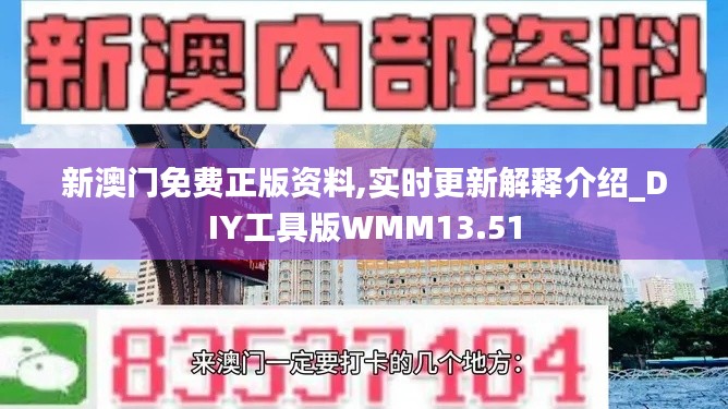 新澳门免费正版资料,实时更新解释介绍_DIY工具版WMM13.51