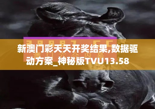 新澳门彩天天开奖结果,数据驱动方案_神秘版TVU13.58