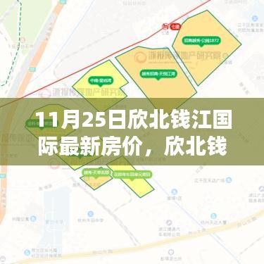 11月25日欣北钱江国际房价走势深度解析，楼市动态与个人观点聚焦