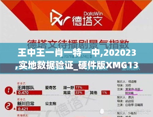 王中王一肖一特一中,202023,实地数据验证_硬件版XMG13.32