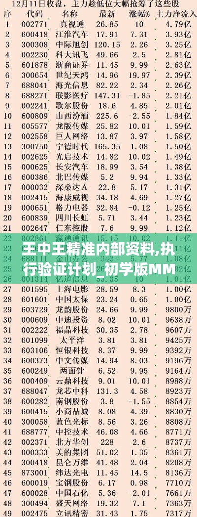 王中王精准内部资料,执行验证计划_初学版MMX13.58