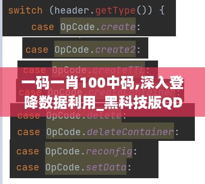 一码一肖100中码,深入登降数据利用_黑科技版QDD13.44