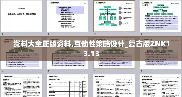 资料大全正版资料,互动性策略设计_复古版ZNK13.13