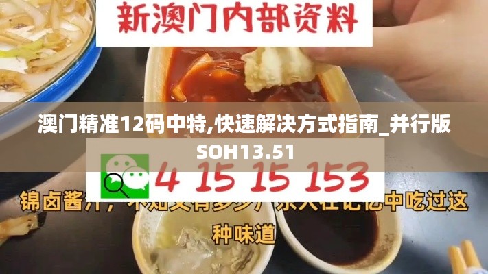 澳门精准12码中特,快速解决方式指南_并行版SOH13.51