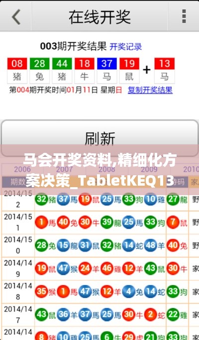 马会开奖资料,精细化方案决策_TabletKEQ13.75