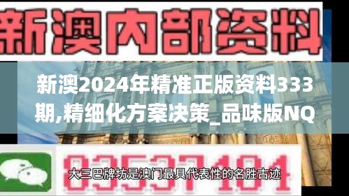 新澳2024年精准正版资料333期,精细化方案决策_品味版NQP11.94