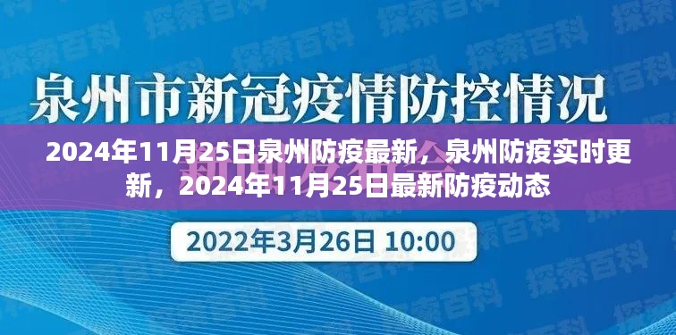 2024年11月25日泉州防疫最新动态及实时更新