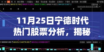 揭秘宁德时代热门股票背后的故事，小巷特色小店之无限潜力分析