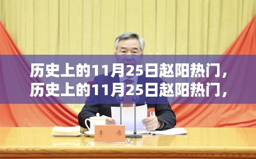 历史上的11月25日赵阳，热门事件全面评测与深度介绍