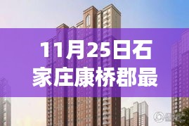 石家庄康桥郡最新动态深度报道，最新消息一览（11月25日）