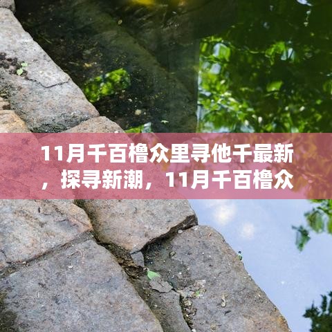 11月千百橹众里寻他千，最新趋势与个人观点探寻新潮