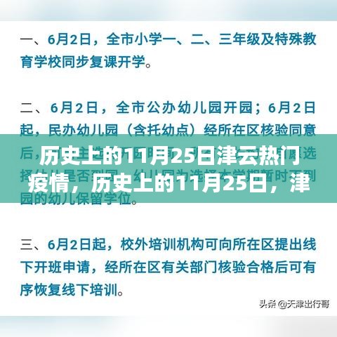 历史上的11月25日津云疫情深度解析与回顾