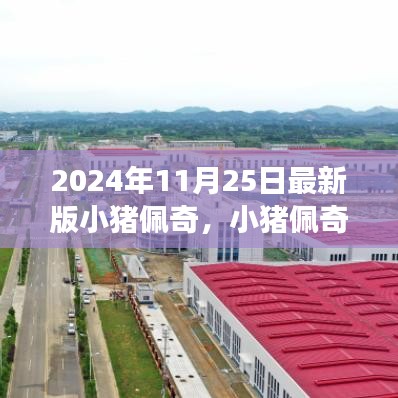 小猪佩奇最新版游戏攻略，2024年11月25日全新玩法揭秘，轻松上手指南