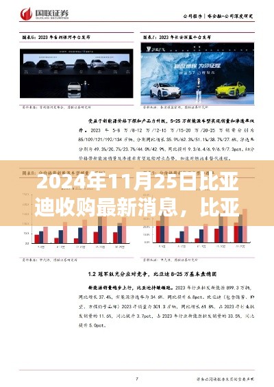 比亚迪最新收购动态深度解析与观点阐述