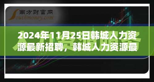 韩城人力资源盛大招聘活动，聚焦最新招聘动态与人才盛会（2024年11月25日）