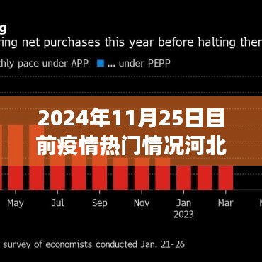 河北隐秘小巷的抗疫故事与特色小店的独特魅力——疫情下的河北最新动态（2024年11月25日）