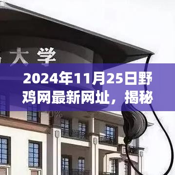 揭秘野鸡网新纪元，探寻最新网址背后的故事与影响（2024年11月25日更新）