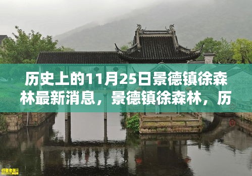 景德镇徐森林，历史上的重要瞬间与最新动态回顾（含最新消息）