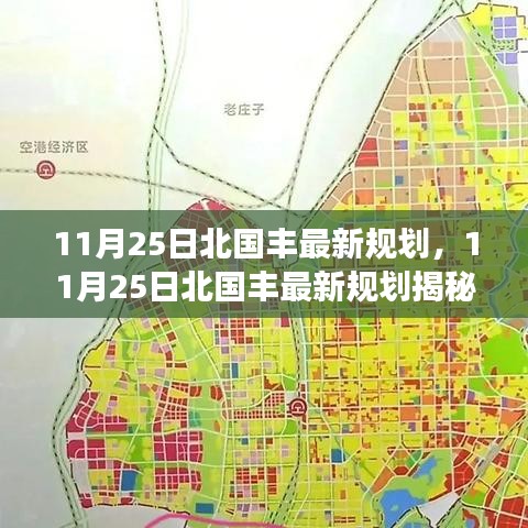 11月25日北国丰最新规划引领未来发展与变革