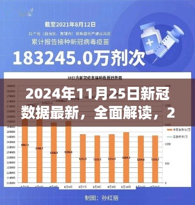 2024年11月25日新冠数据全面解读，最新报告分析与趋势探讨