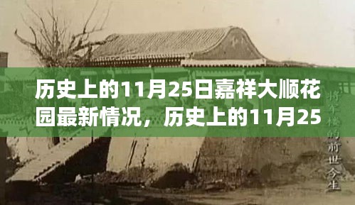 嘉祥大顺花园变迁启示与励志之旅，11月25日最新动态回顾与感悟