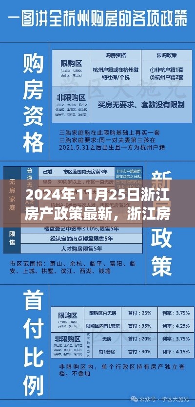 浙江房产政策最新动态解读，2024年11月25日政策调整与观点阐述