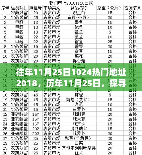 聚焦三大要点解析，探寻历年热门地址背后的故事——历年与往年11月25日热门地址回顾与解析（附三大要点）