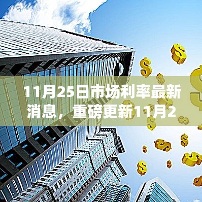 11月25日市场利率最新动态，金融市场微妙变化的深度解析